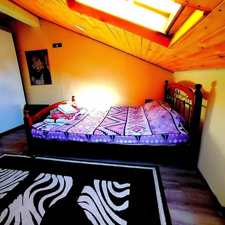 Centre Suits 2 Hostel