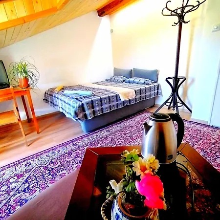 Hostel Centre Suits 2